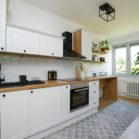 Apartment Pavlovic *